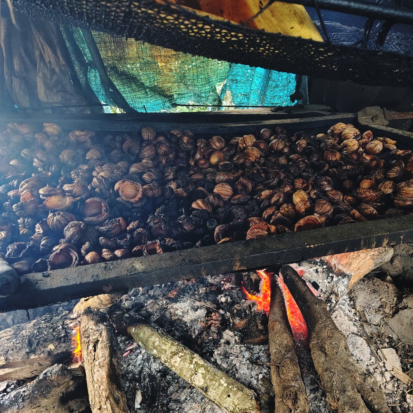 Kudampuli dried