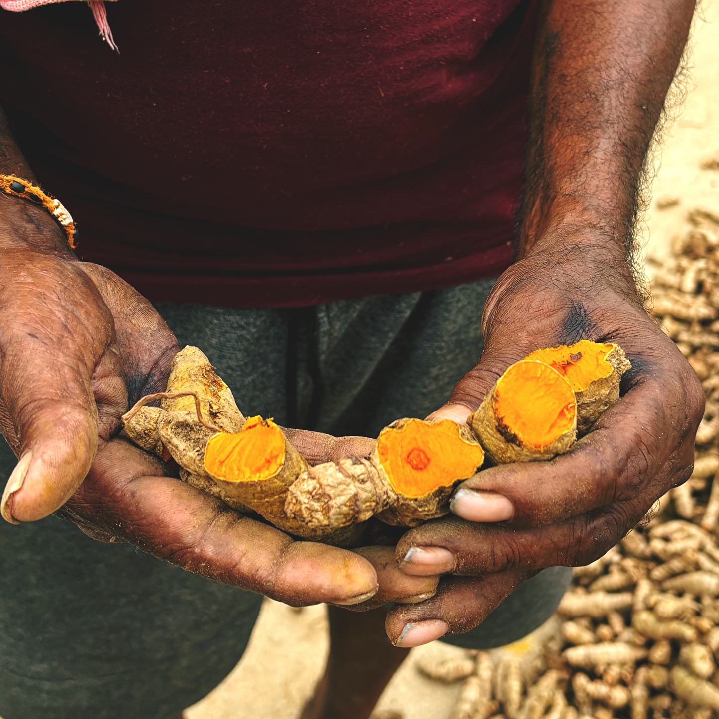 Erode Turmeric