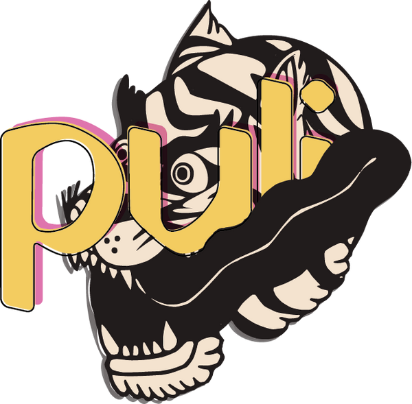 PULI SPICES