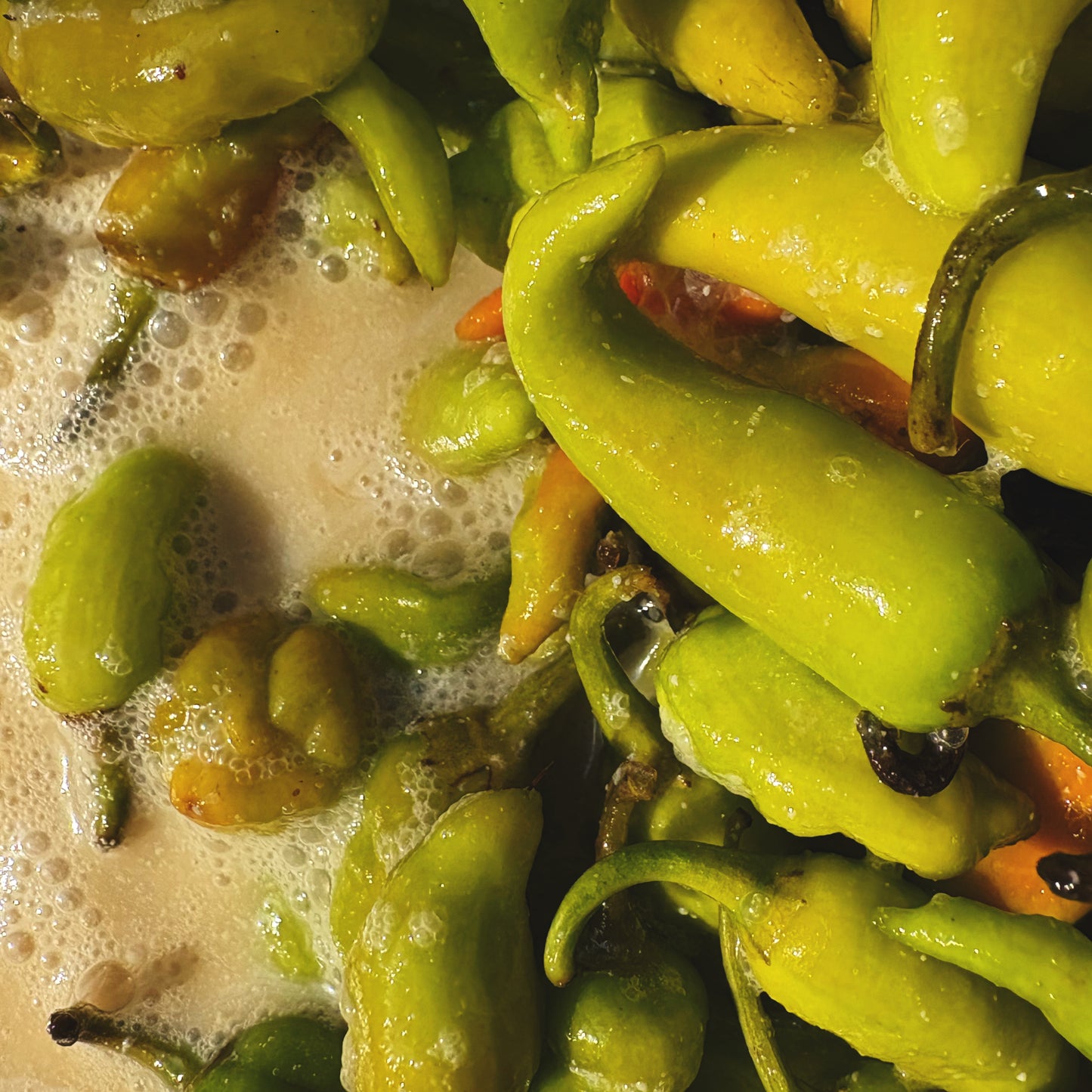 Majjige Menasu/ Buttermilk Chillies